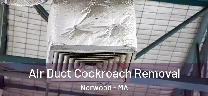 Air Duct Cockroach Removal Norwood - MA