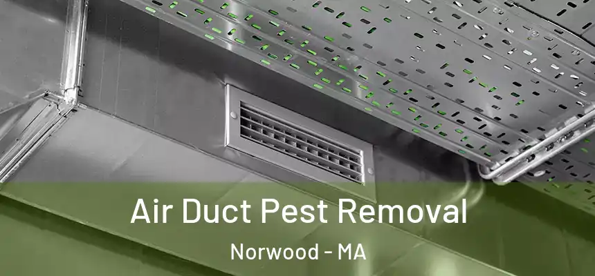Air Duct Pest Removal Norwood - MA