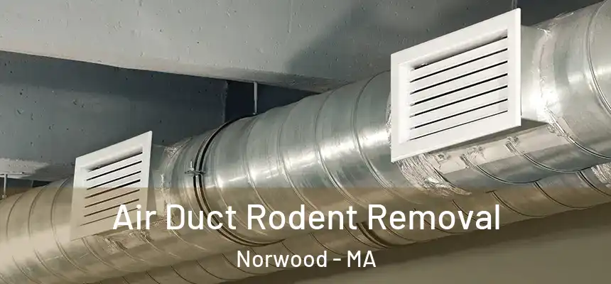  Air Duct Rodent Removal Norwood - MA