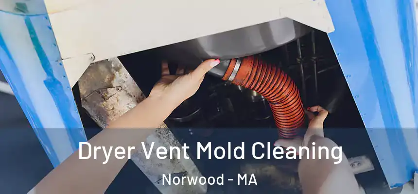  Dryer Vent Mold Cleaning Norwood - MA