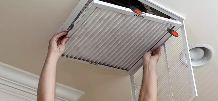 Preventive Cockroach-Proofing for Ducts in Norwood