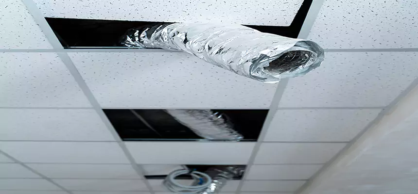 Affordable HVAC Sanitizing After Pest Removal in Norwood