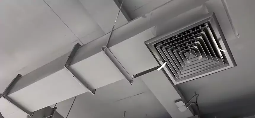 Our Pest Removal From Ducts Services in Norwood, MA