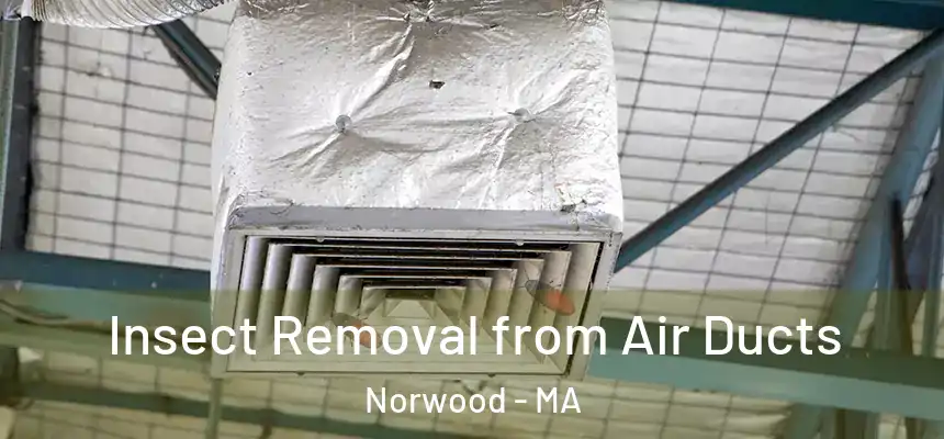  Insect Removal from Air Ducts Norwood - MA