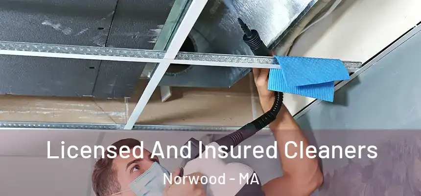  Licensed And Insured Cleaners Norwood - MA