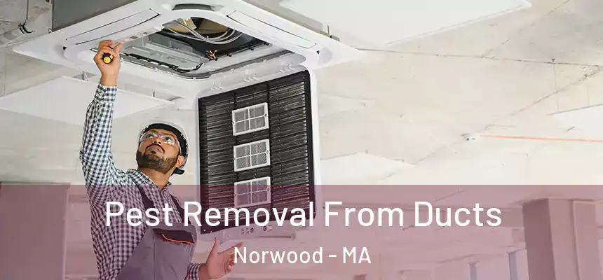  Pest Removal From Ducts Norwood - MA