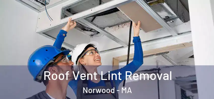  Roof Vent Lint Removal Norwood - MA