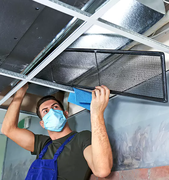 About Air Duct Bacteria Removal in Norwood
