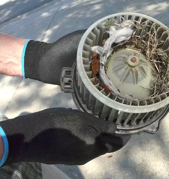 About Air Duct Rat Removal in Norwood, MA