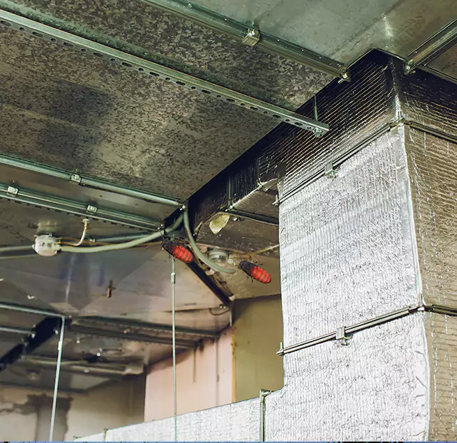 Why Homeowners & Businesses Trust Us in Norwood, MA?