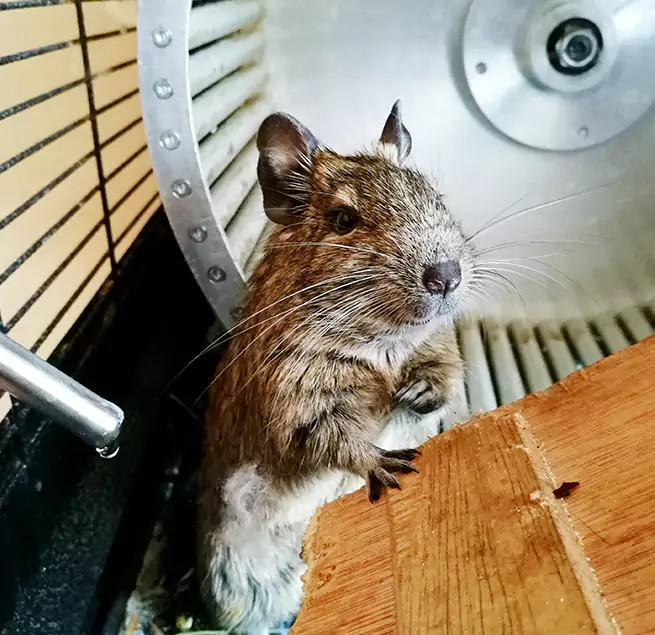 Why Homeowners & Businesses Trust Us Norwood, MA