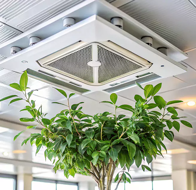 Why Homeowners & Businesses Trust Us in Norwood, MA